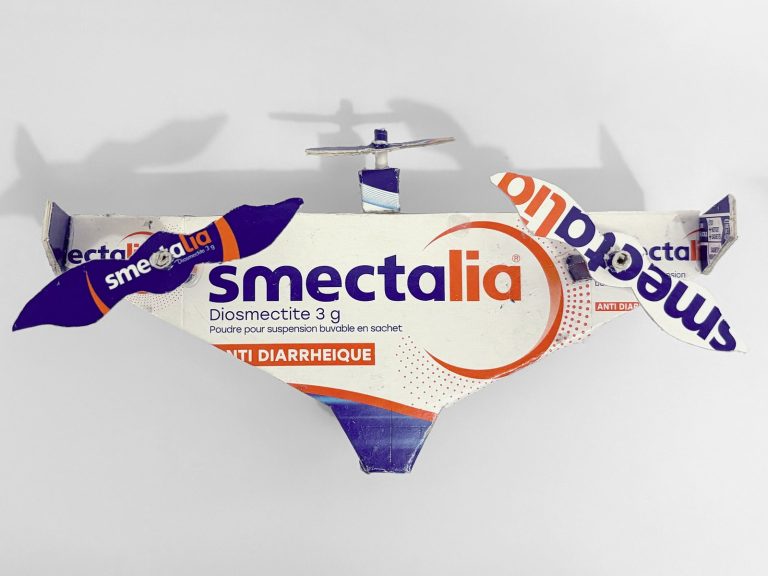 Drone Smectalia — vue 3