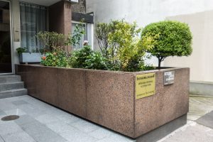 Plantes d’ornement — image 26