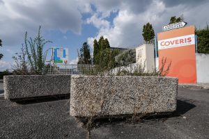 Plantes d’ornement — image 27
