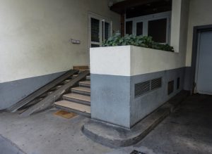 Plantes d’ornement — image 30