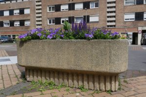 Plantes d’ornement — image 45