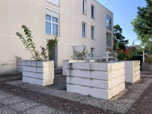 Plantes d’ornement — image 57