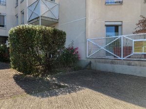 Plantes d’ornement — image 58