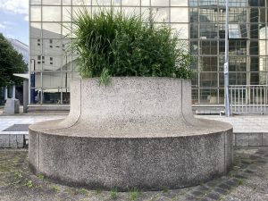 Plantes d’ornement — image 65