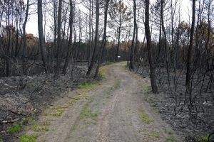 Ways — image 1