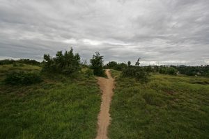 Ways — image 4