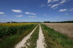 Ways — image 8