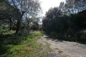 Ways — image 9