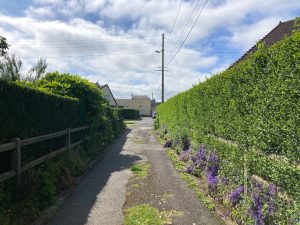 Ways — image 206